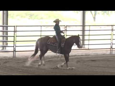 161030 Kathy Maddox on Bangkok Nights Rookie