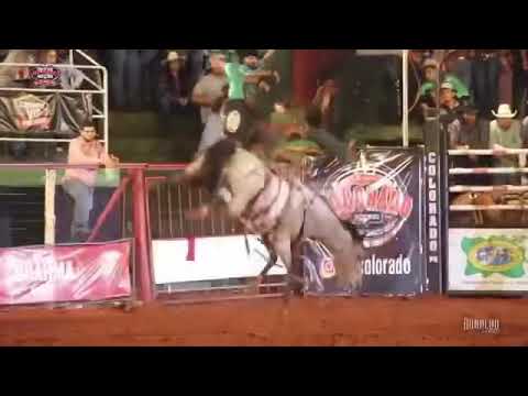 Mais uma da CHEIRO DE MALÍCIA !!!