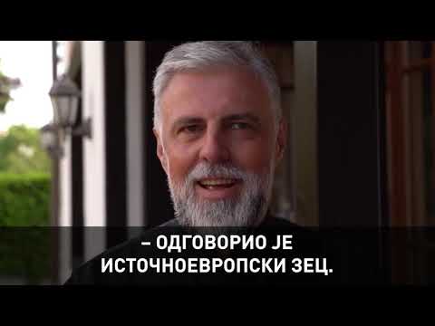 Vladika Grigorije - Zec