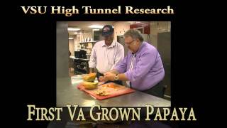 preview picture of video 'Virginia's First Papaya! updated'