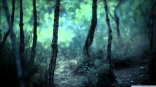 Inquisition - Solitary Death In Nocturnal Woodlands Subtitulado Español