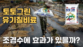 나무비료 유기질비료 조경수에 토토그린 효과가 있을까? 