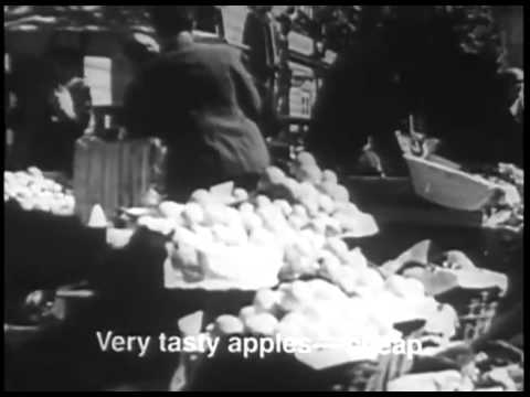 Polish city of Lwów