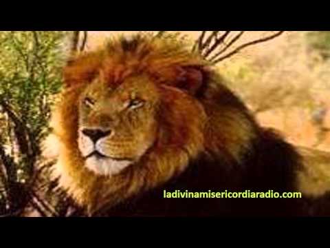 Gotas de Fe y Esperanza, 21 Octubre 2014. Un León por Día, 1 Pedro 5,8 9