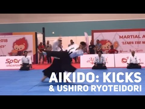 Aloyseus Lee: Young, Powerful & Dynamic Aikido (Part 2).
