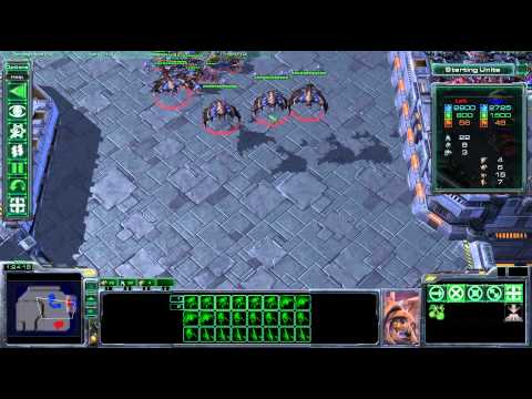 Brood Lord - StarCraft 2 Tactics and Strategies