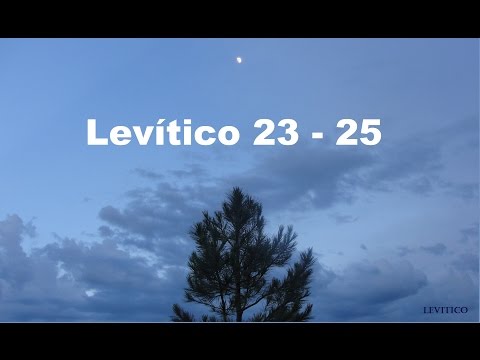 The Bible in a Year/Leviticus 23-25 ​​(Audio, Lyrics) Day 66