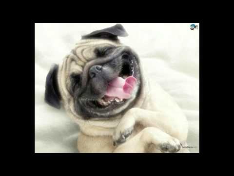 RIX ROX ( rick ross brother )  palaeksa