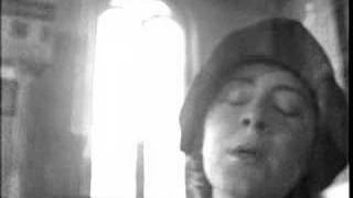 Stargazer Lily - Sunday