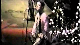 Porno For Pyros dec 71995 &#39;Porpoise Head&#39; fairfax, va