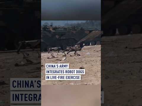 China’s army integrates robot dogs in live-fire exercise