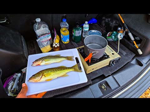Cooking LARGEMOUTH Bass In My Truck | Catch & Cook