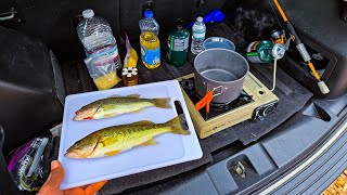 Cooking LARGEMOUTH Bass In My Truck | Catch & Cook