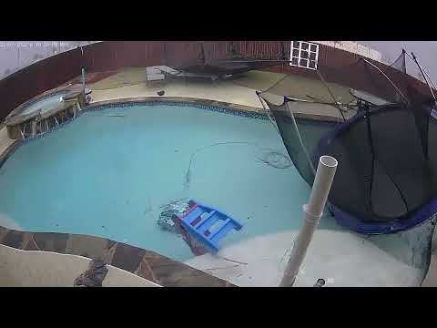 Powerful Winds Blow Trampoline Into Texas Pool