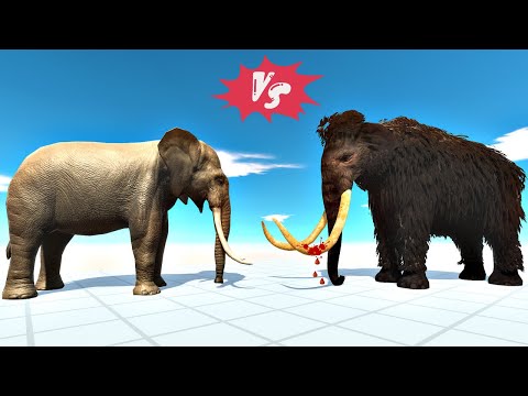 Prehistoric Mammals vs Modern Mammals & Ancient Humans | NEW UPDATE - Animal Revolt Battle Simulator