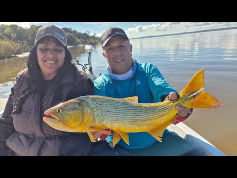 Dorados  2026 colon entre rios  #pesca #pescasportiva #señuelo 