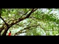 Pyaar Ki Dastaan [Full Song], Film - Luck By Chance