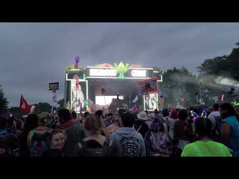 Mersiv - If I was a raven - Electric Forest 2022 [4K]