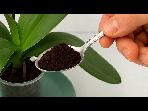 Just sprinkle on top! And the orchids bloom like crazy