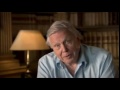 BBC Birds of Paradise with David Attenborough - Narration by Piers Gibbon