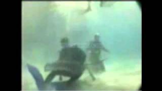 Steve Irwin Death Video __Official Footage___(360p).flv video