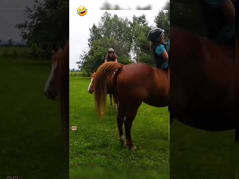 Funny horse #horses #fart #funny #compilation