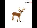 Schleich figūrėlė Baltauodegis elnias