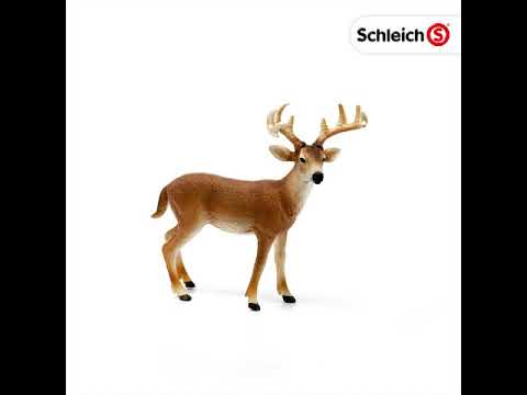 Schleich figūrėlė Baltauodegis elnias video