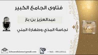 صورة نجاسة المذي وطهارة المني - بن باز - مشروع كبار العلماء