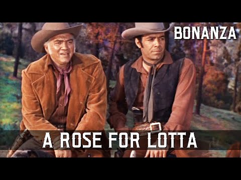Bonanza - A Rose for Lotta | Episode 01 | Western Series | FULL EPISODES | English