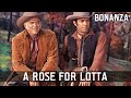 Bonanza A Rose For Lotta Episode 01 Western Series FULL EPISODES English