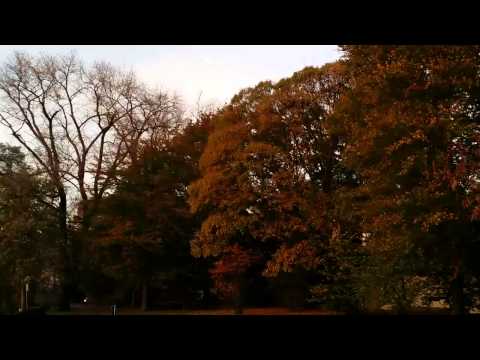 Dou viva a Deus nas Alturas.Mestre Irineu117 C.d.L