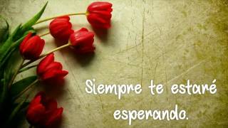 Te Quiero - Duncan Dhu (con letra)