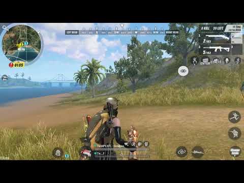 TemPESTi•Dragon and TemPESTi•Wolf.. Talo kami