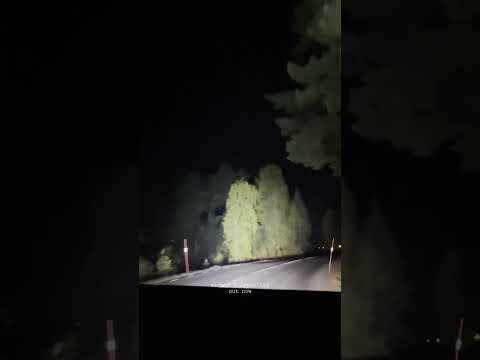 stream appealing now. #music #shorts