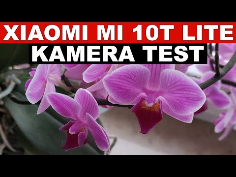 Xiaomi Mi 10T Lite Kamera Test