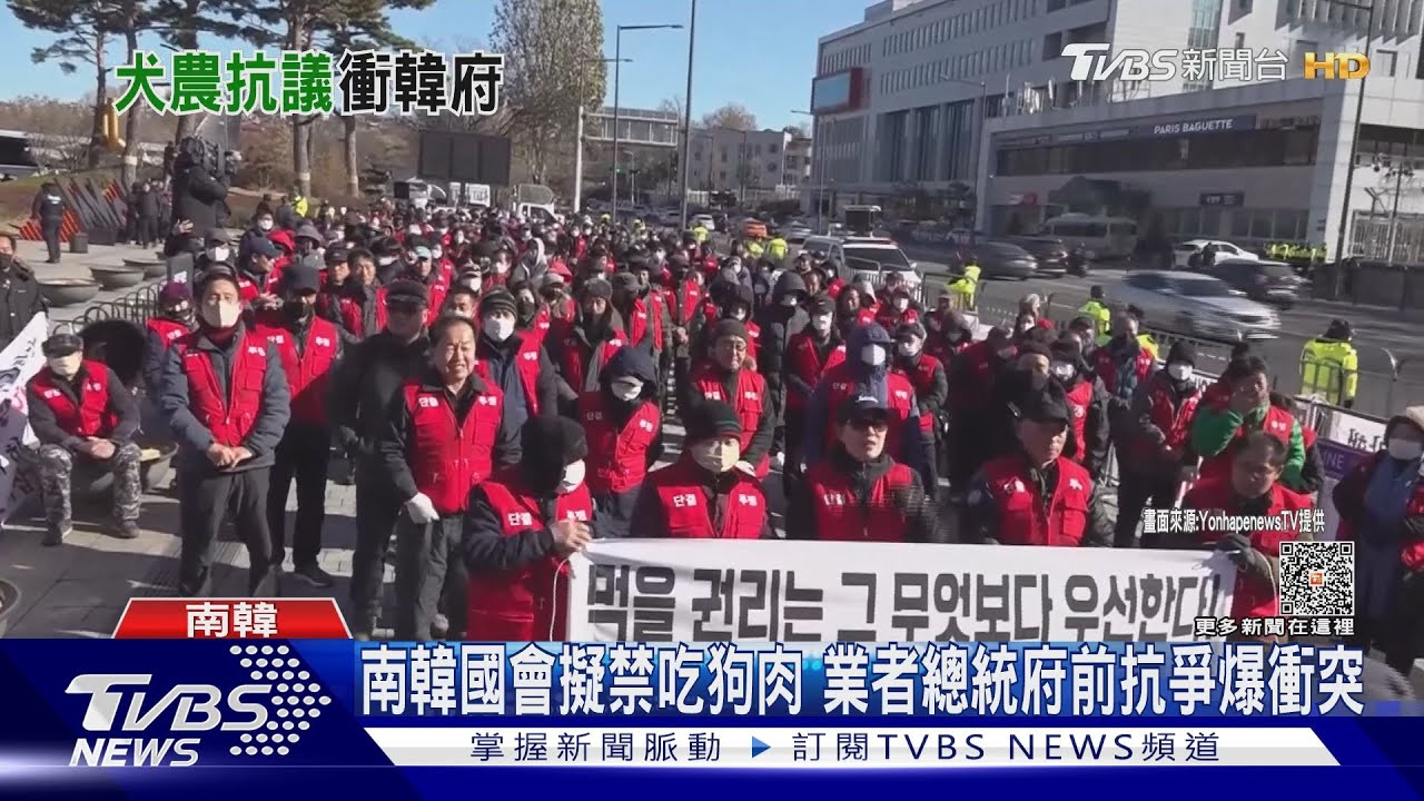 南韓擬禁吃狗肉 業者總統府前示威企圖放狗