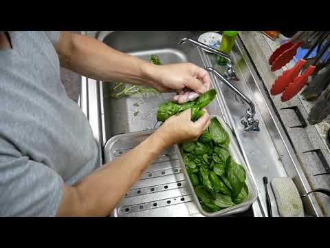 バジルを正しく収穫して保存する 植物