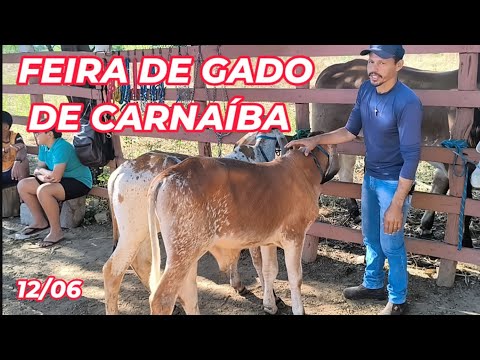 Feira de gado de Carnaíba-PE (12/06/26)