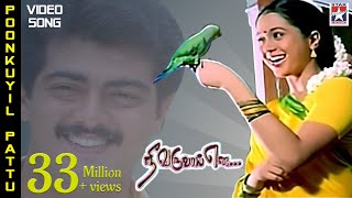 Poonkuyil Pattu Pudichirukku Video Song | Nee Varuvai Ena Movie | Ajith | Devayani | SA Rajkumar