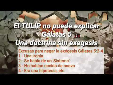 El Dilema Encubierto: el TULIP no explica su negación. 😰 3 de 4