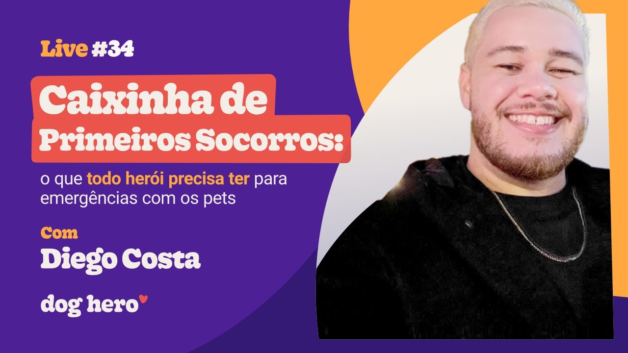 Caixinha de Primeiros Socorros: o que todo herói precisa ter para emergências com os pets | Live 34