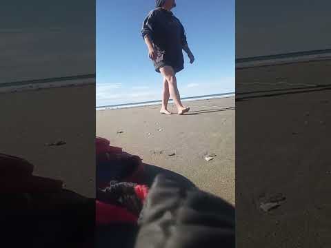 Pesca artesanal con trasmallo en comodoro Rivadavia Chubut argentina 2026