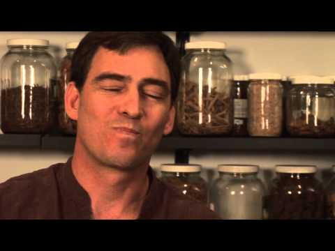 Herbal Treatments for Dental Abscesses