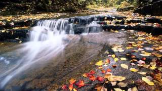 MDB - BEAUTIFUL VOICES 037 (AMBIENT-CHILL MIX) [HQ]