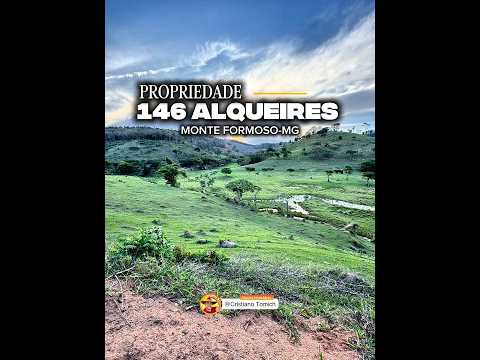 EXCELENTE PROPRIEDADE 146 ALQUEIRES REGIÃO DE MONTE FORMOSO-MG R$ 7 MILHÕES #fazenda #pecuarista