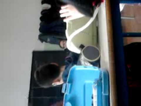 a scuola gaurico bellizzi