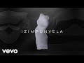 Kelly Khumalo Izimpunyela Visualizer Ft Mondli Ngcobo