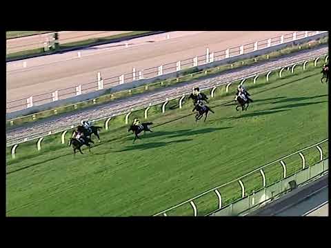 Napoli Galoppo 15/07/2022 - 5ª corsa