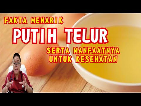 PUTIH TELUR : SUMBER PROTEIN BERKUALITAS TINGGI UNTUK KESEHATAN OPTIMAL